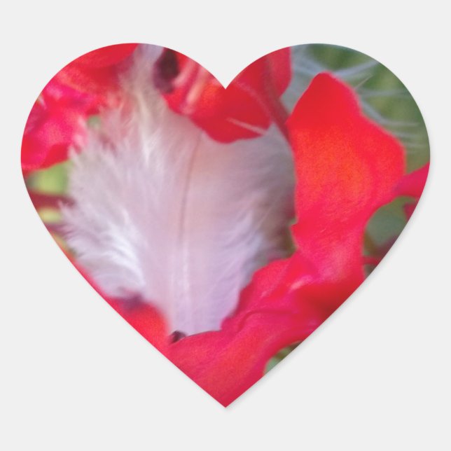 Sticker Cœur Beauté délicate : Fleur rouge avec plumes blanches (Devant)