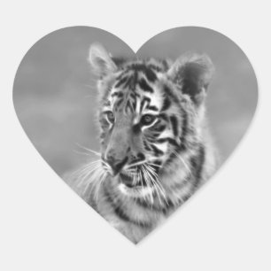 Sticker Cœur Bébé Tigre en noir et blanc
