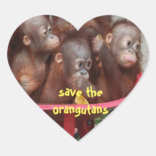 Sticker Cœur Bébés mignons d'Orangoutan (Devant)