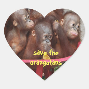 Sticker Cœur Bébés mignons d'Orangoutan