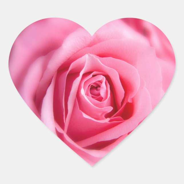 Sticker Cœur Belle rose rose rose (Devant)