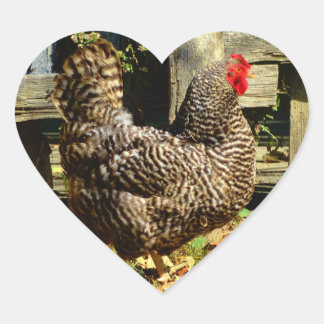 Sticker Cœur Black and white chicken