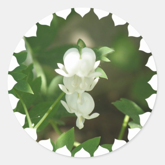 Sticker Coeur Bleeding Blanc (Devant)