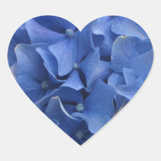 Sticker Coeur Blue Hydrangeas
