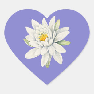 Sticker Cœur Bluebonnet bleu-violet avec Nénuphar blanc