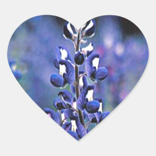 Sticker Cœur Bluebonnet de Texas