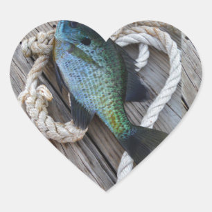 Sticker Cœur bluegill sur quai