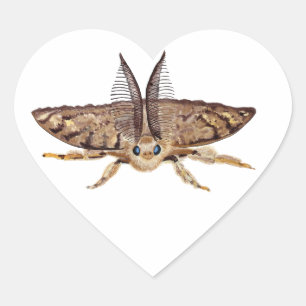 Sticker Cœur Bouche tzigane, Lymantria dispar dispar, vol