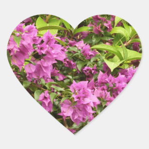 Sticker Cœur Bougainvillées tropicales violettes