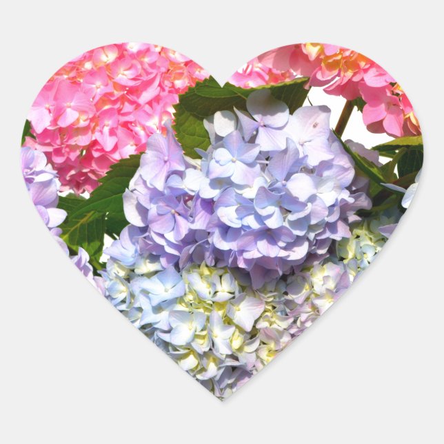 Sticker Cœur Bouquet d'hortensia bleu rose violet élégant (Devant)