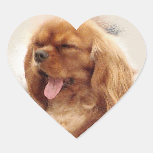 Sticker Cœur Cavalier King Charles Spaniel (Devant)