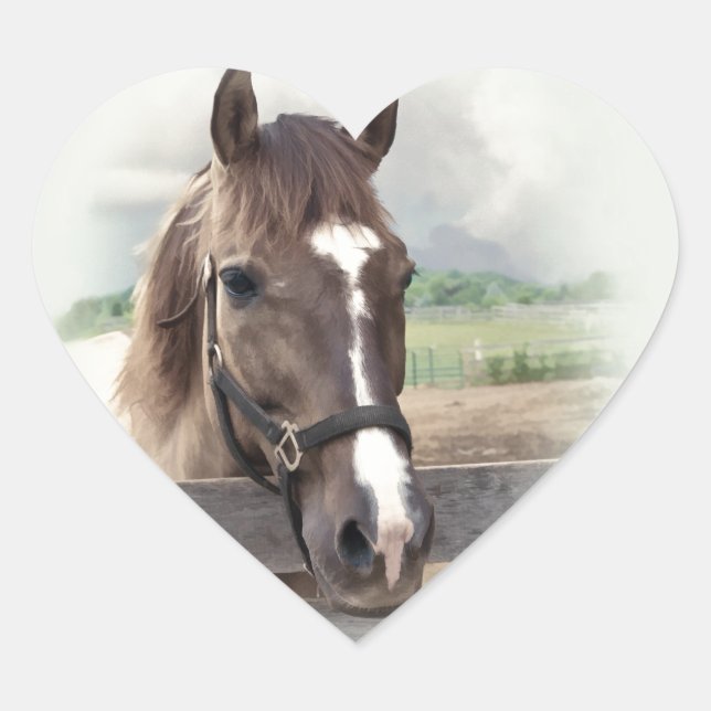 Sticker Cœur Cheval Brown avec Bridle (Devant)