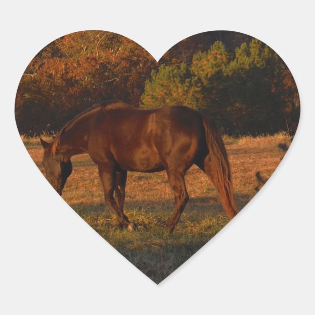 Sticker Cœur Cheval Brown rouge, bois d'automne. (Devant)