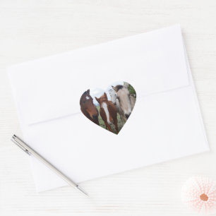 Sticker Cœur Cheveux Frisqués : De Bons Problèmes De Cheval,