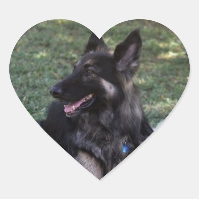 Sticker Cœur Chien berger allemand (Devant)