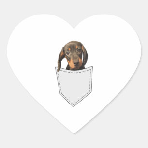 Sticker Cœur Chien de poche Dachshund