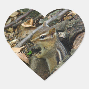 Sticker Cœur Chipmunk oriental - Tamias striatus