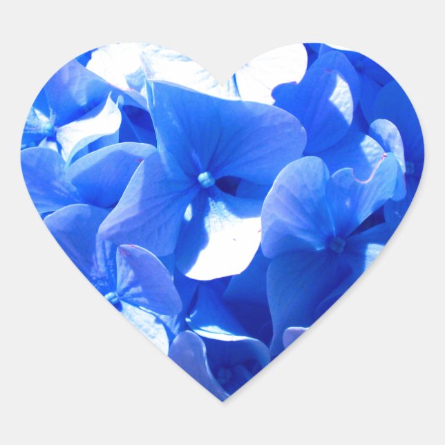 Sticker Cœur Cobalt bleu floral élégant bleu hydrangées (Devant)