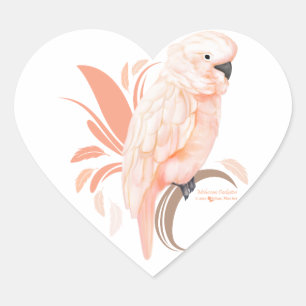 Sticker Cœur Cockatoo Moluccan