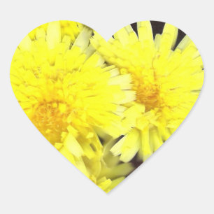 Sticker Cœur Coeur jaune de fleurs sauvages