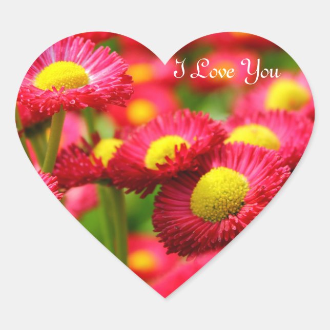 Sticker Cœur Coeur Je T'Aime (Devant)