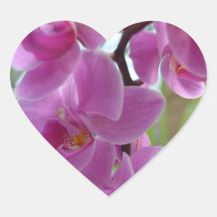 Sticker Cœur Coeurs d'orchidées roses