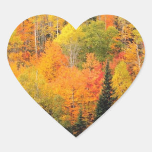 Sticker Cœur Coeurs mariages Mariage de automne Automne Phoques