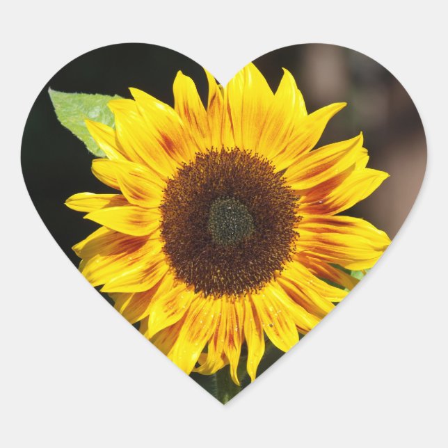 Sticker Cœur Collier en forme de coeur de tournesol jaune (Devant)