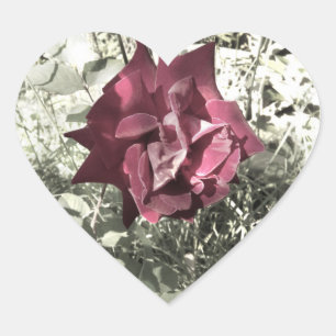 Sticker Cœur Couleur Vintage rose