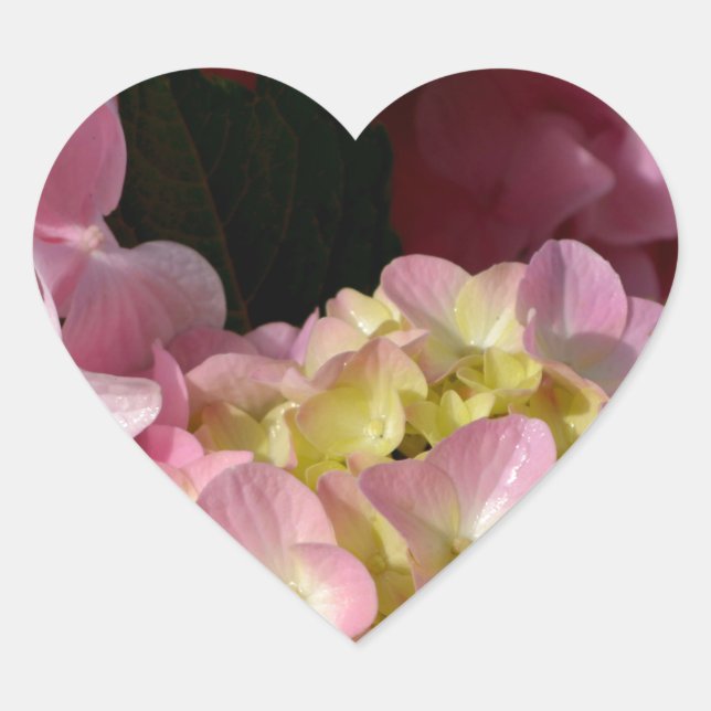 Sticker Cœur Crème rose Hydrangeas jaune rose vert floral (Devant)