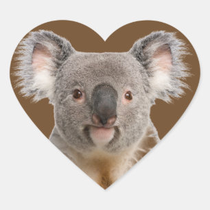Sticker Cœur Cute Little Koala Ours Animal australien