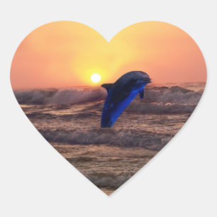 Sticker Cœur Dauphin au coucher du soleil