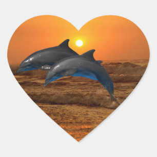 Sticker Cœur Dauphin de verdure au coucher du soleil