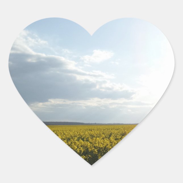 Sticker Coeur de champ de canola (Devant)
