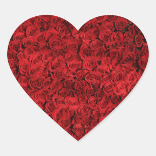 Sticker Cœur Des centaines de belles roses rouges