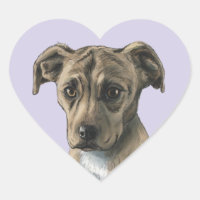 Dessin Brown de chiot de pitbull