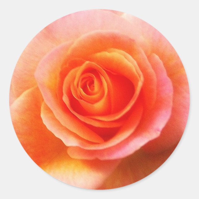 Sticker 'Coeur du Rose' (Devant)