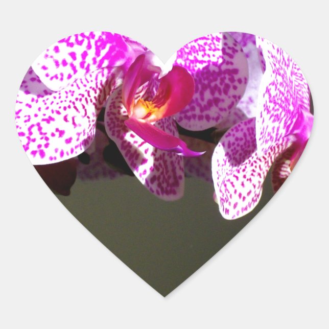 Sticker Cœur Élégant rose fleurs tropicales orchidées (Devant)