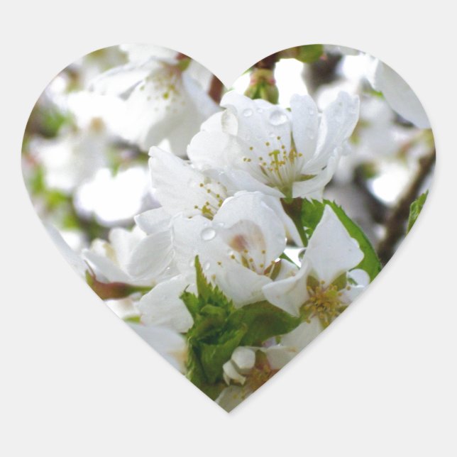Sticker Cœur Elégante photo de fleurs florales blanches (Devant)