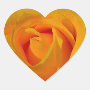 Sticker Cœur Elégante photo de Rose Jaune