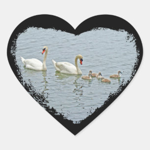 Sticker Cœur Famille Mute Swan