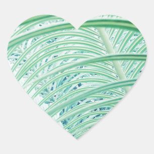 Sticker Cœur Feuille de palmier de plante verte douce