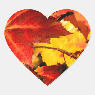 Sticker Cœur Feuilles d'automne rouges feuilles jaunes rouges