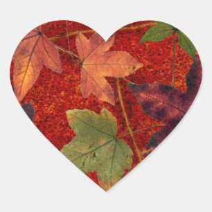 Sticker Cœur Feuilles d'automne Saison d'automne Feuilles d'arb