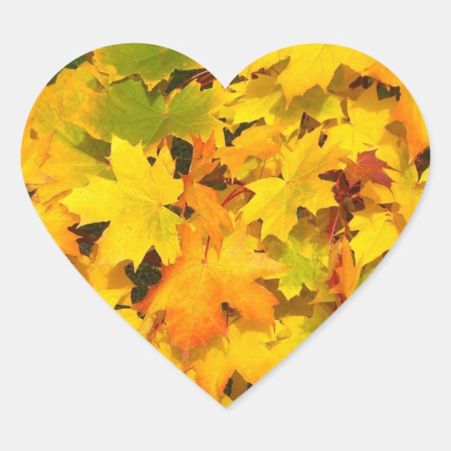 Sticker Cœur Feuilles de l'érable d'automne aux couleurs d'auto (Devant)