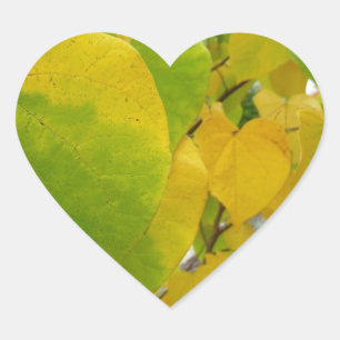 Sticker Cœur Feuilles rouges jaunes et verts