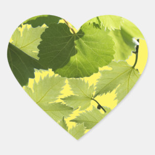 Sticker Cœur Feuilles verts de vigne