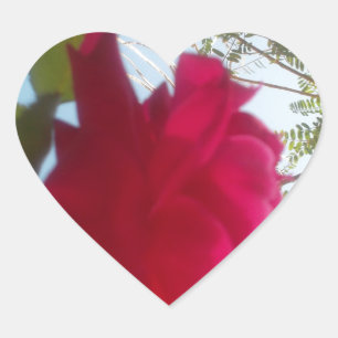 Sticker Cœur Fleur céleste : Un Rose contre le ciel