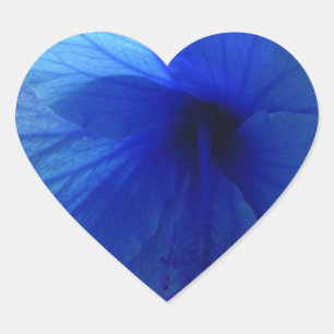 Sticker Cœur Fleur d'Hibiscus bleu