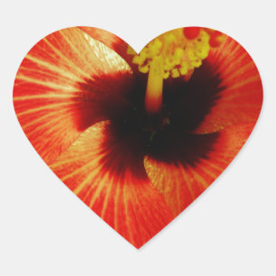 Sticker Cœur Fleur d'Hibiscus rouge-orange